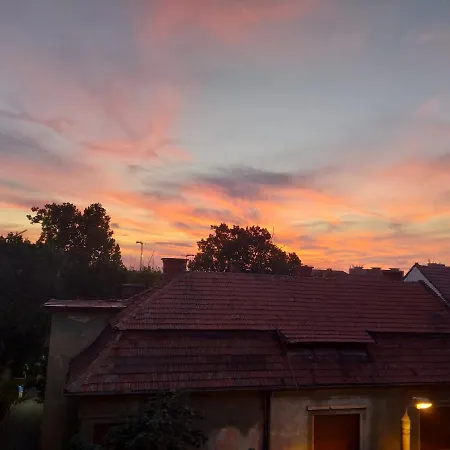Viva La Vida * Timisoara